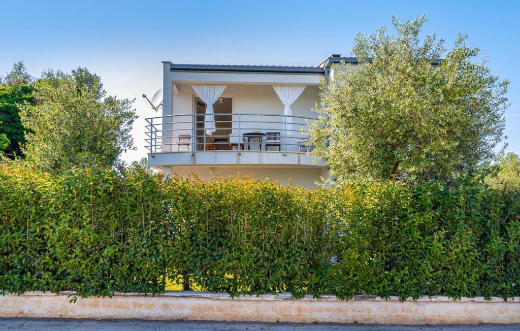 Dadic Apartments Bibinje Exterior photo